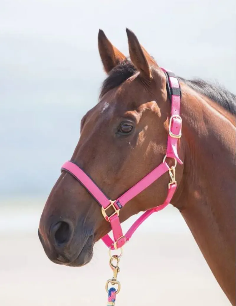 Shires Topaz Nylon Headcollar in Pink-1